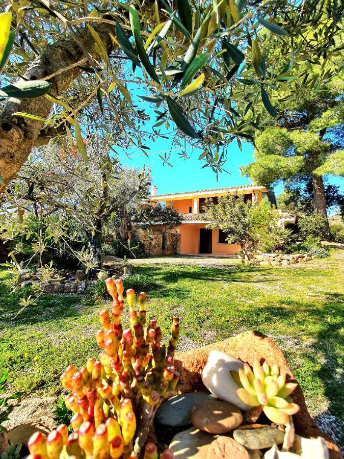 Villa Alice Apartments Orosei Kültér fotó